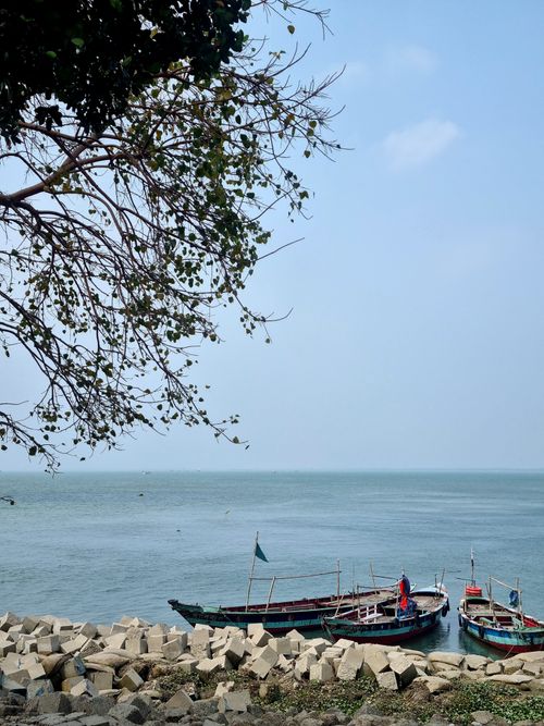 Free Calm ocean view with fishing boats, clear sky, and tree branches in focus. Stock Photo
