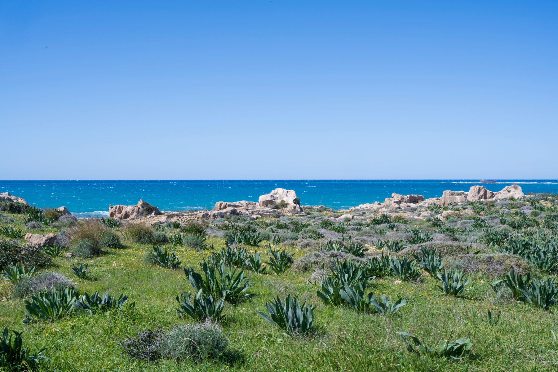 Cyprus with Kids: What Actually Works and What It Costs