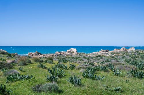 Free Vibrant coastal landscape with lush greenery and azure sea in Cyprus, perfect for nature and travel themes. Stock Photo
