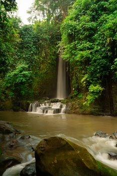 A tranquil waterfall cascades in a lush jungle setting, offering a serene nature escape.