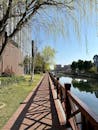 Tranquil Pathway Along Shanghai Canal on Sunny Day