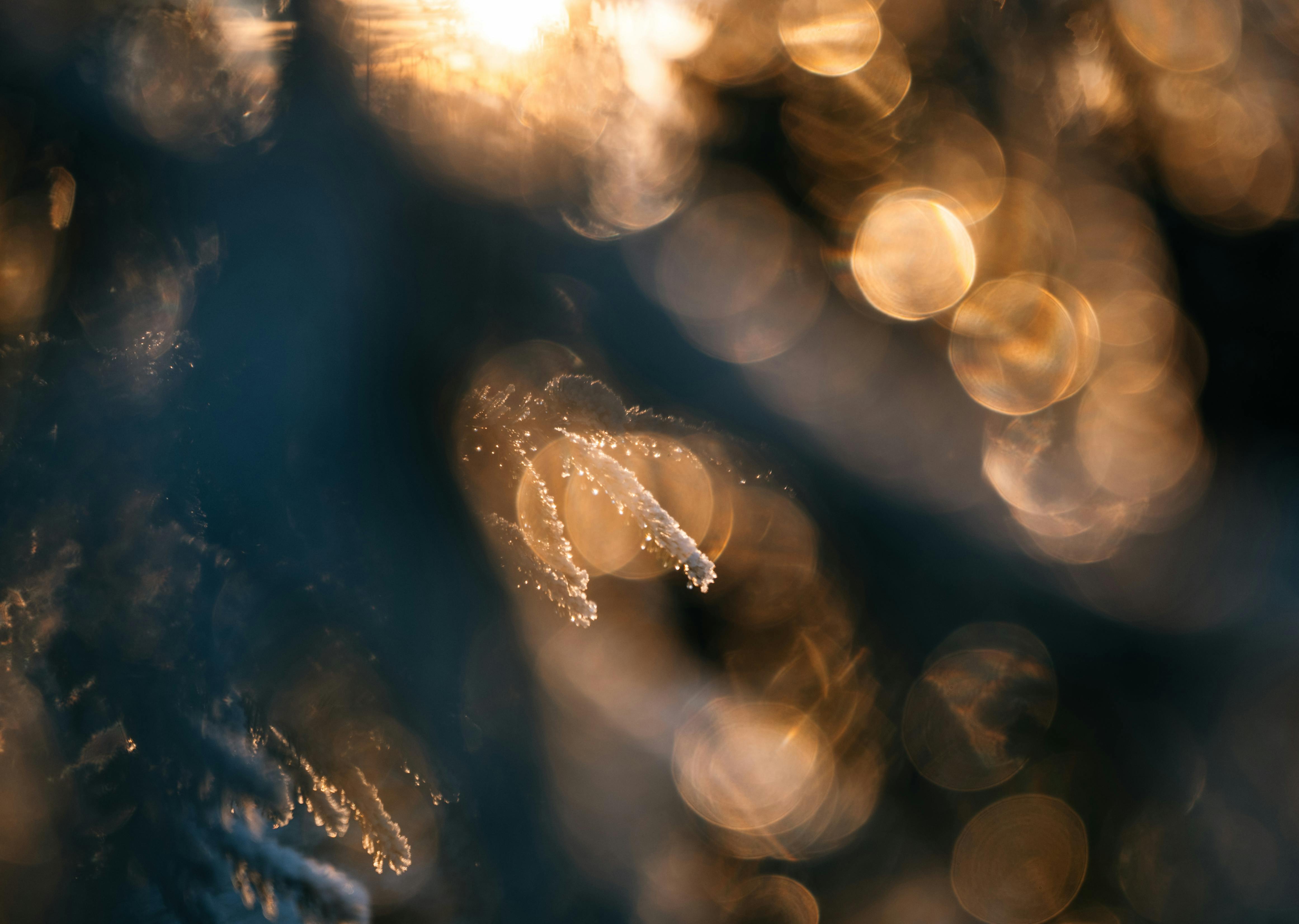 免费 五金, 光, 冬天的早晨 的 免费素材图片 素材图片