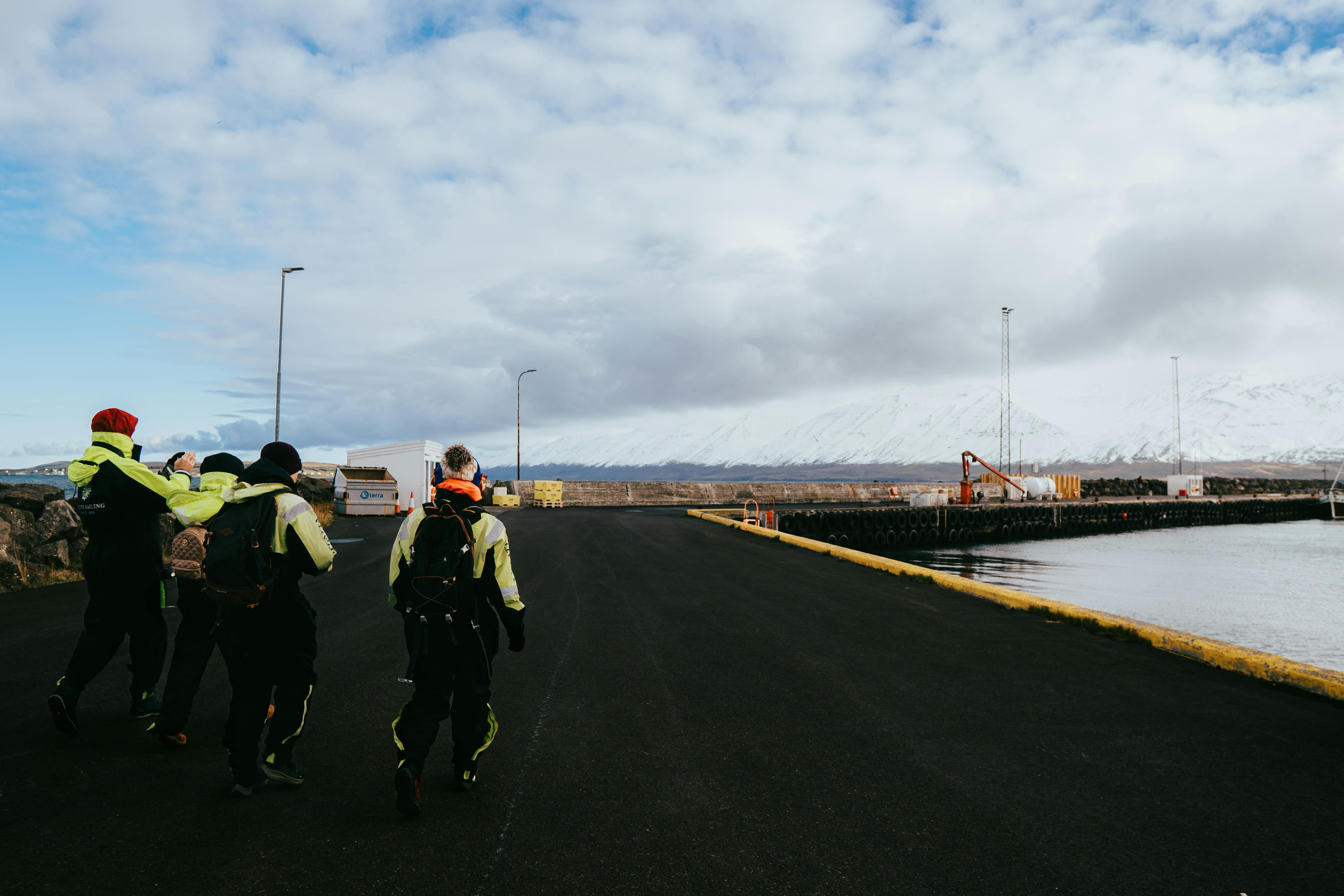 Best Tour Companies in Iceland — Photo by Artūras Kokorevas on Pexels
