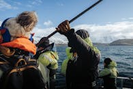 Winter Whale Watching Tour in Icelandic Fjord