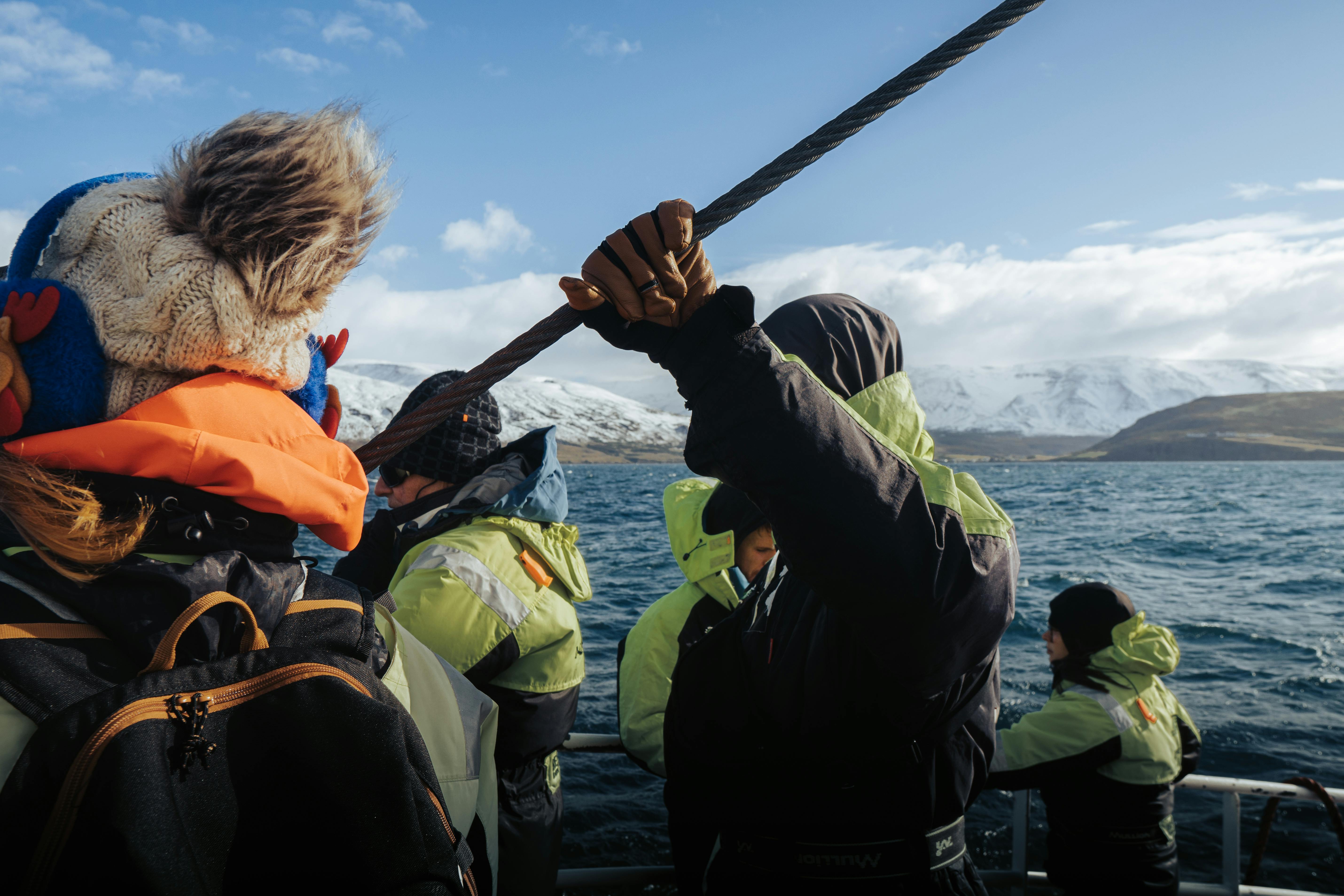Winter Whale Watching Tour in Icelandic Fjord