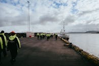 Winter Whale Watching Adventure in Iceland