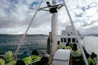 Whale Watching Tour in Icelandic Fjord