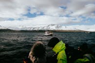 Whale Watching in Árskógssandur Fjord
