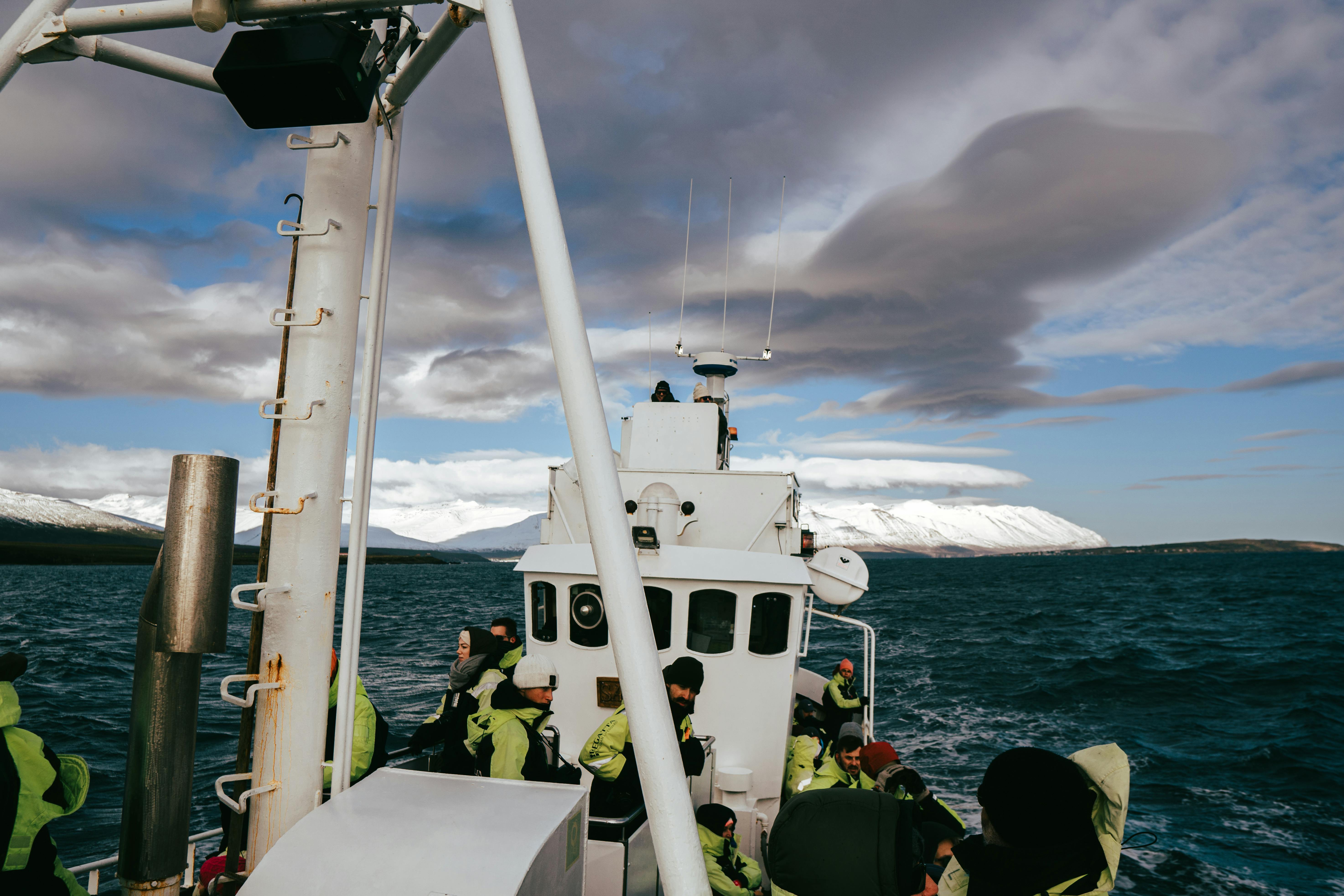 免費 從達爾維克庫比格德 (Árskógssandur) 出發的賞鯨之旅中探索令人驚嘆的冰島峽灣。 圖庫相片