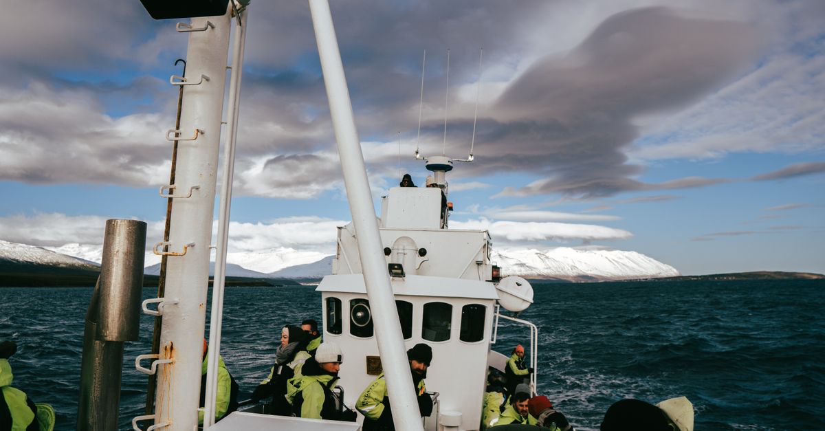 Explore the stunning Icelandic fjords during a whale watching tour from Árskógssandur, Dalvíkurbyggð.