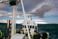 Scenic Whale Watching Tour in Icelandic Fjord