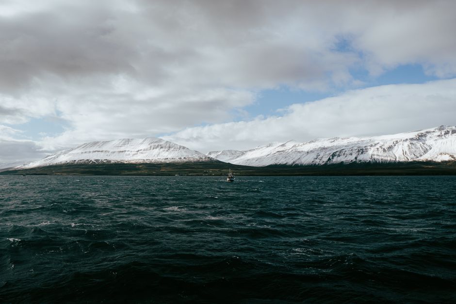 A sailboat glides through a fjord in Árskógssandur, Iceland, with snow-covered mountains in the background.
