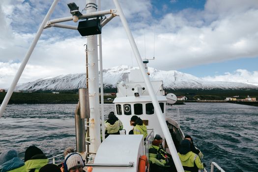 Scenic winter whale watching tour in Árskógssandur, Iceland with snow-capped mountains.