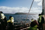 Whale Watching Tour in Árskógssandur, Iceland