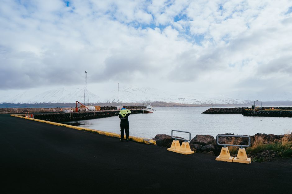 A picturesque scene of Árskógssandur harbor in Iceland with snowy mountains and calm waters