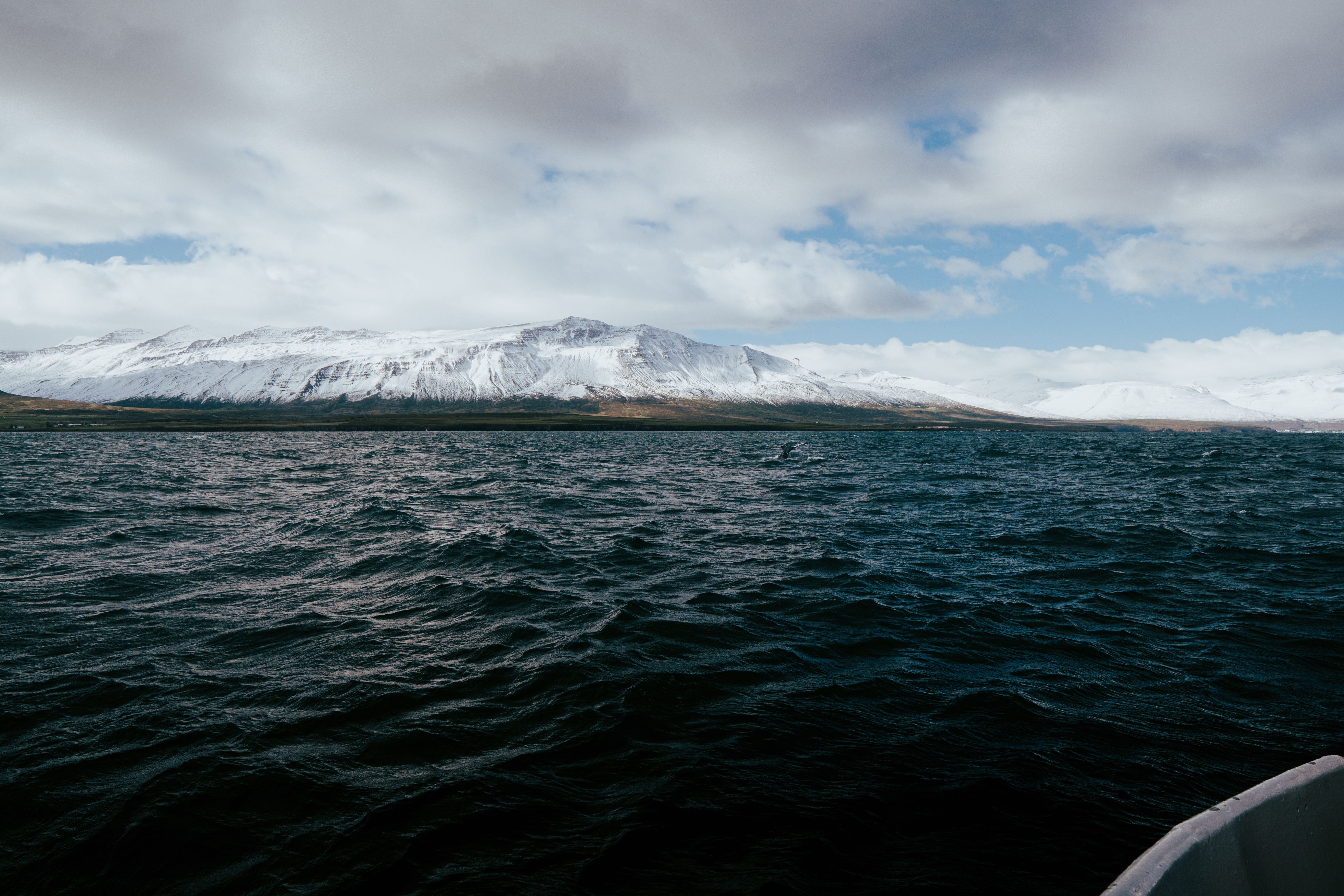 Best Tour Companies in Iceland — Photo by Artūras Kokorevas on Pexels