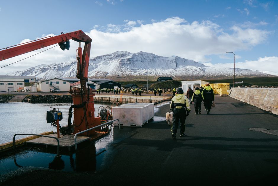 People in winter gear at Árskógssandur harbor in Iceland with snowy mountains.