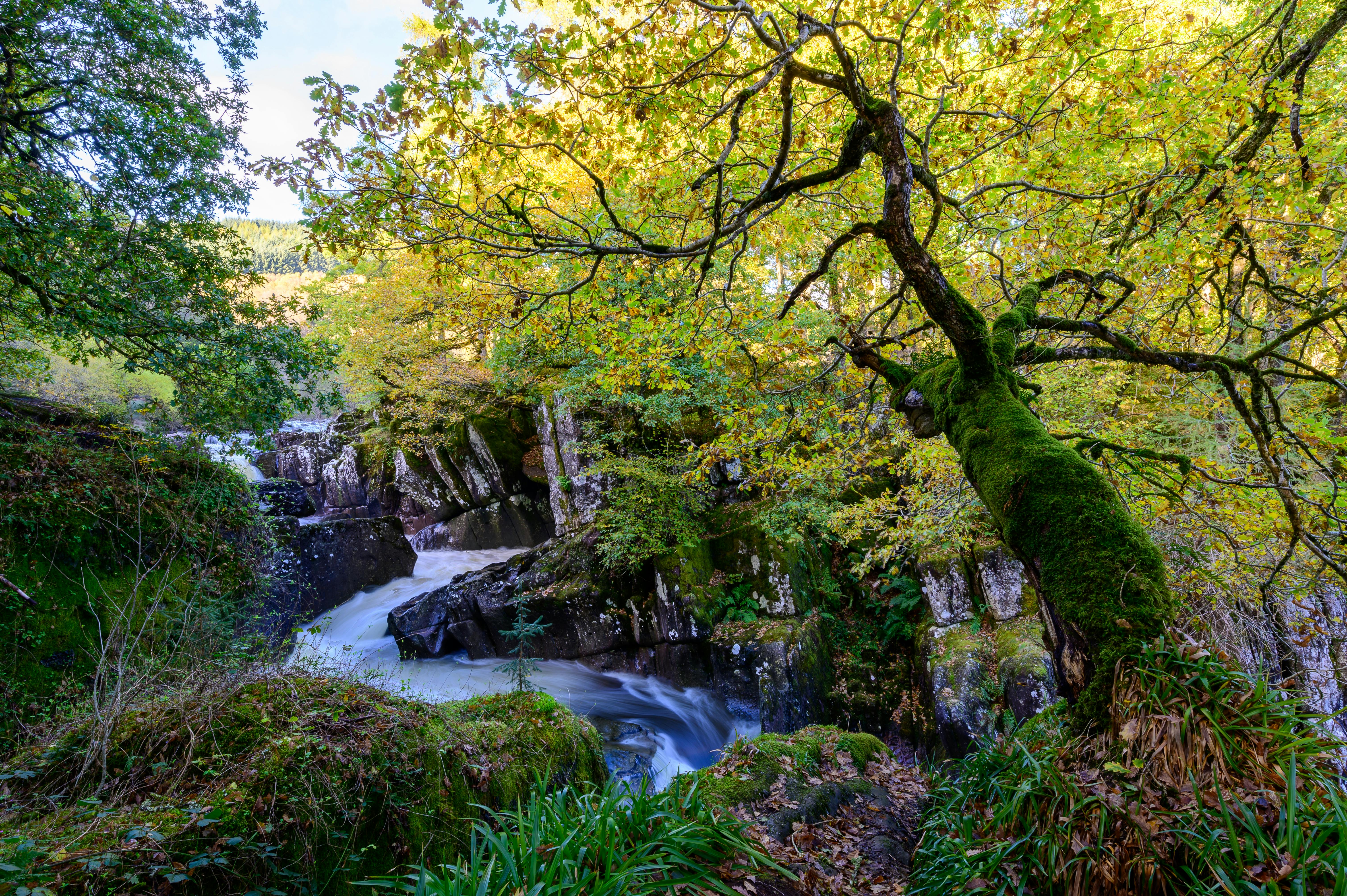 Gratuit Vue imprenable sur les chutes de Bracklinn, entourées d'un feuillage d'automne flamboyant à Callander, en Écosse. Photos