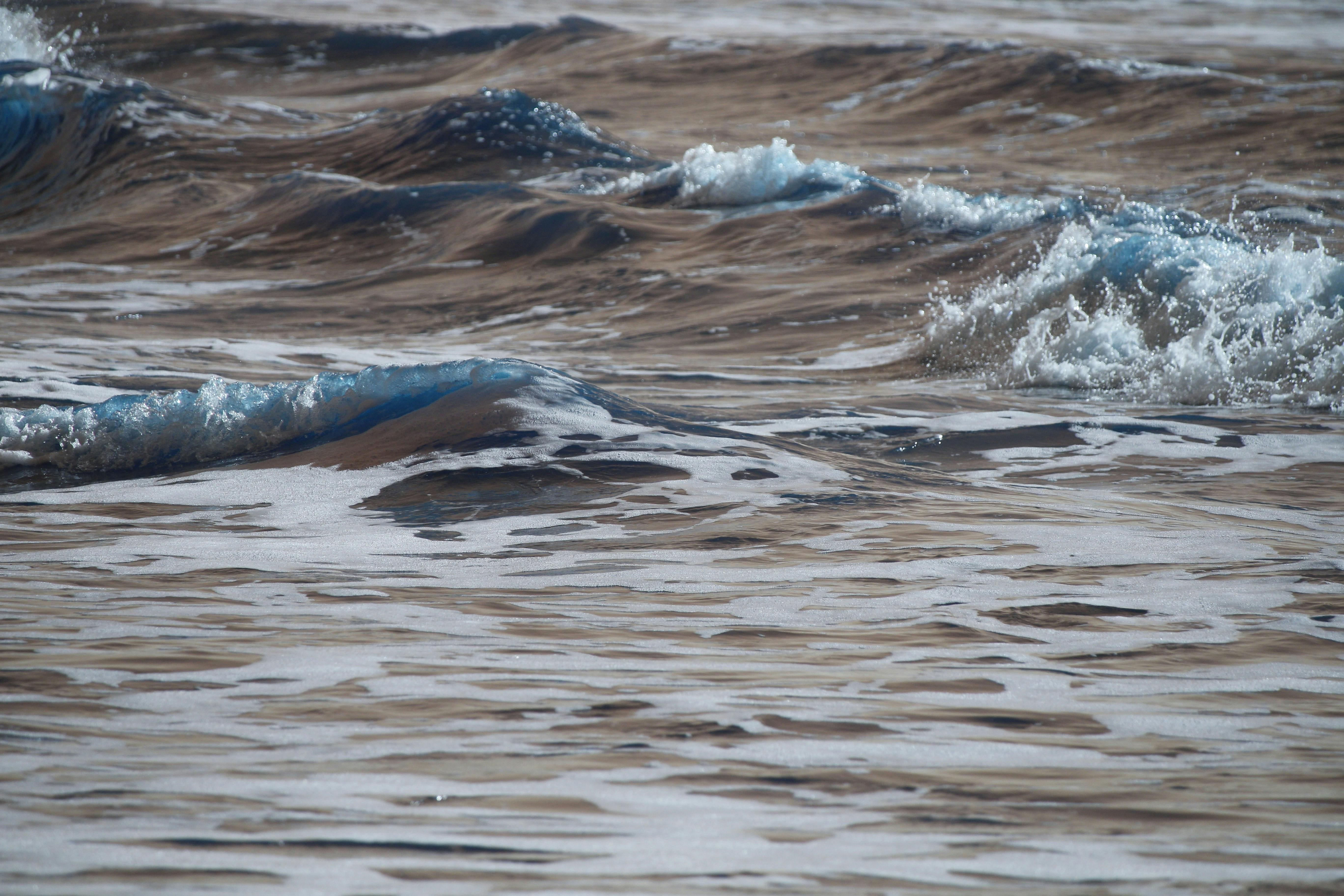 Gratis Le onde dinamiche dell'oceano, immortalate in modo splendido sulla spiaggia di Guaratuba, in Paraná, mostrano la potenza e la tranquillità della natura. Foto a disposizione