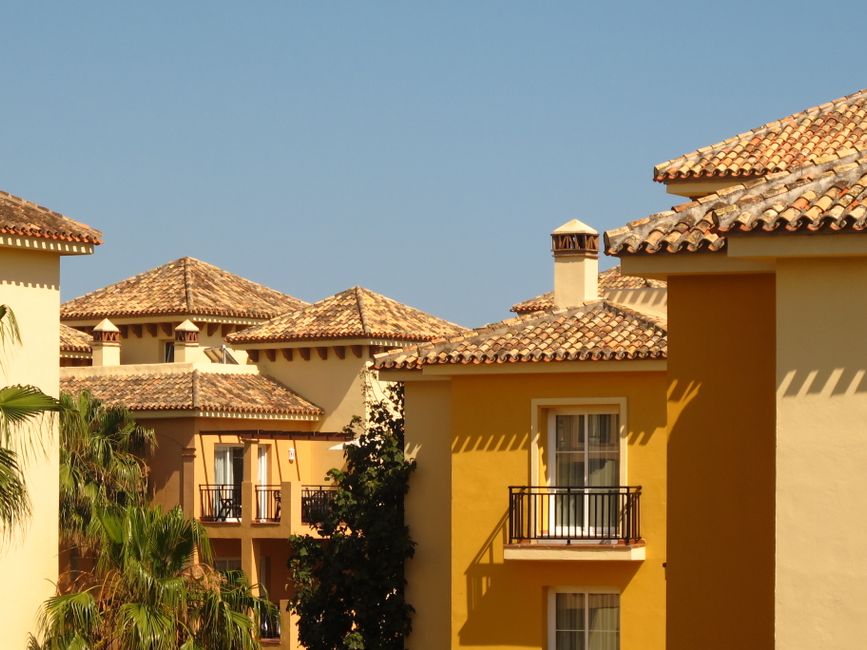 roofing companies holiday fl