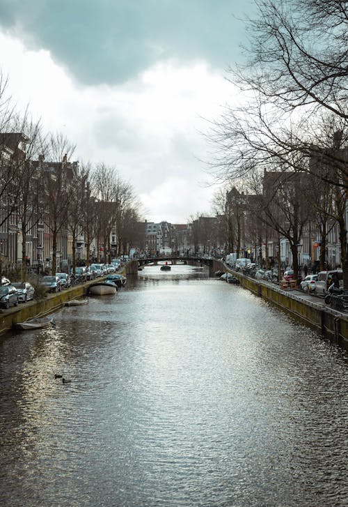 Gratis lagerfoto af Amsterdam, kanal