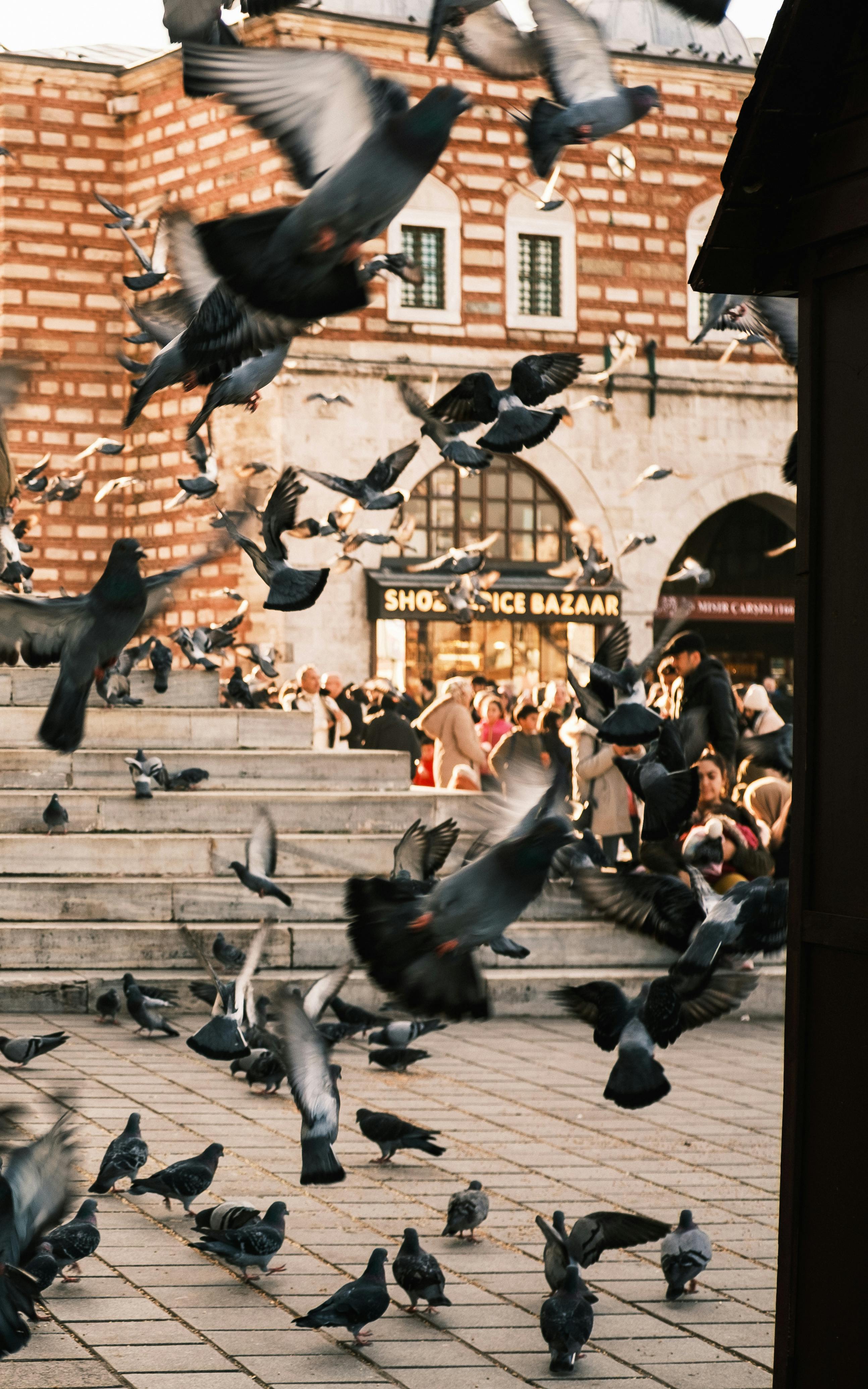 бесплатная Голуби летают над оживленной городской площадью рядом с историческим базаром специй, на заднем плане видны люди. Стоковое фото