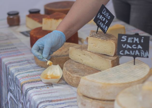 A selection of artisanal cheeses with tasting samples at an outdoor market.