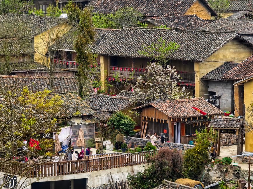 Young travelers in a Quang Ninh mountain village, Vietnam, carrying backpacks, laughing near a homestay courtyard, casual adventurous mood, highly detailed lifestyle travel photography