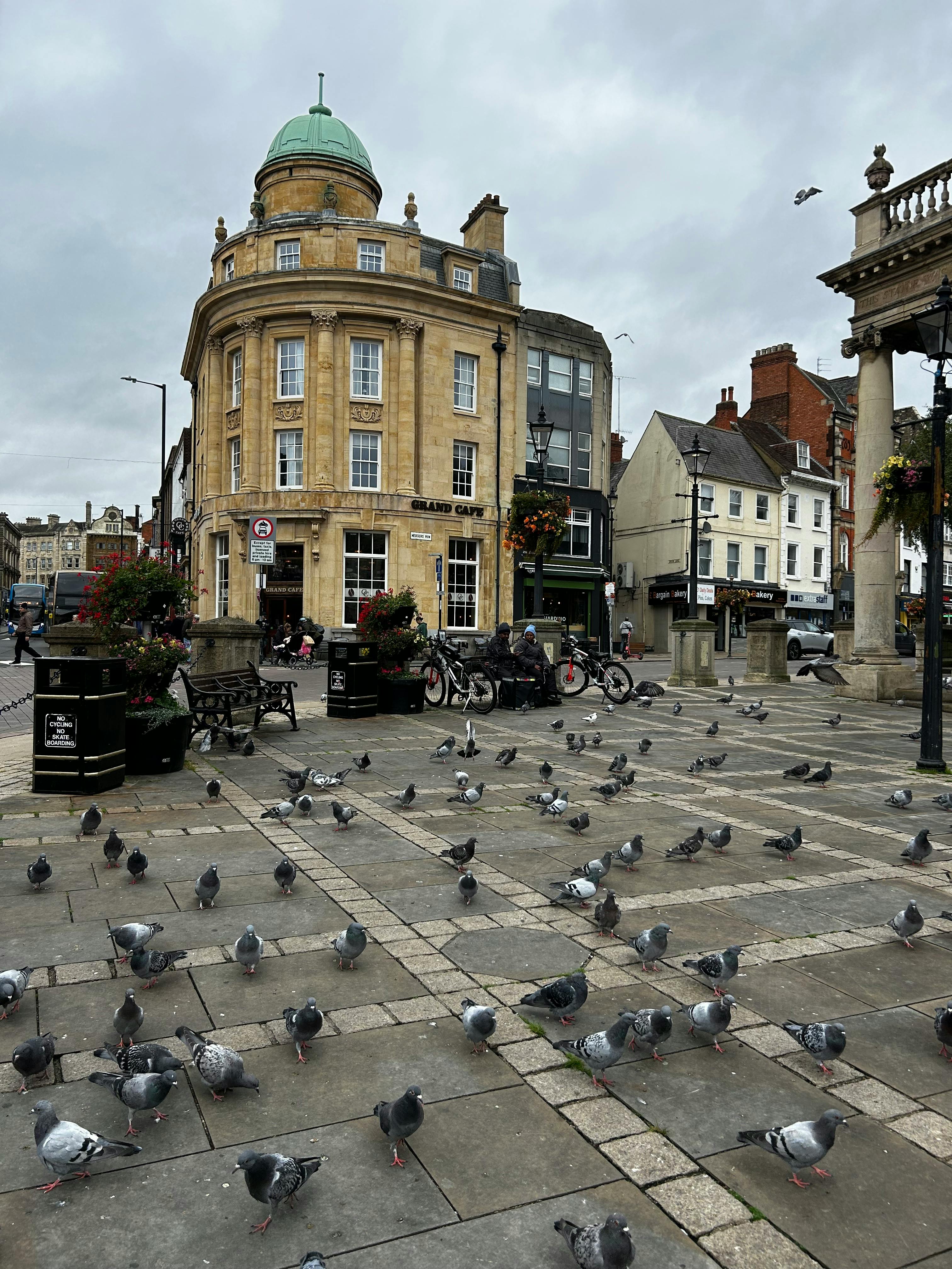 grátis Cena urbana com pombos reunidos em uma praça de mercado em Londres, em meio à arquitetura clássica. Foto profissional