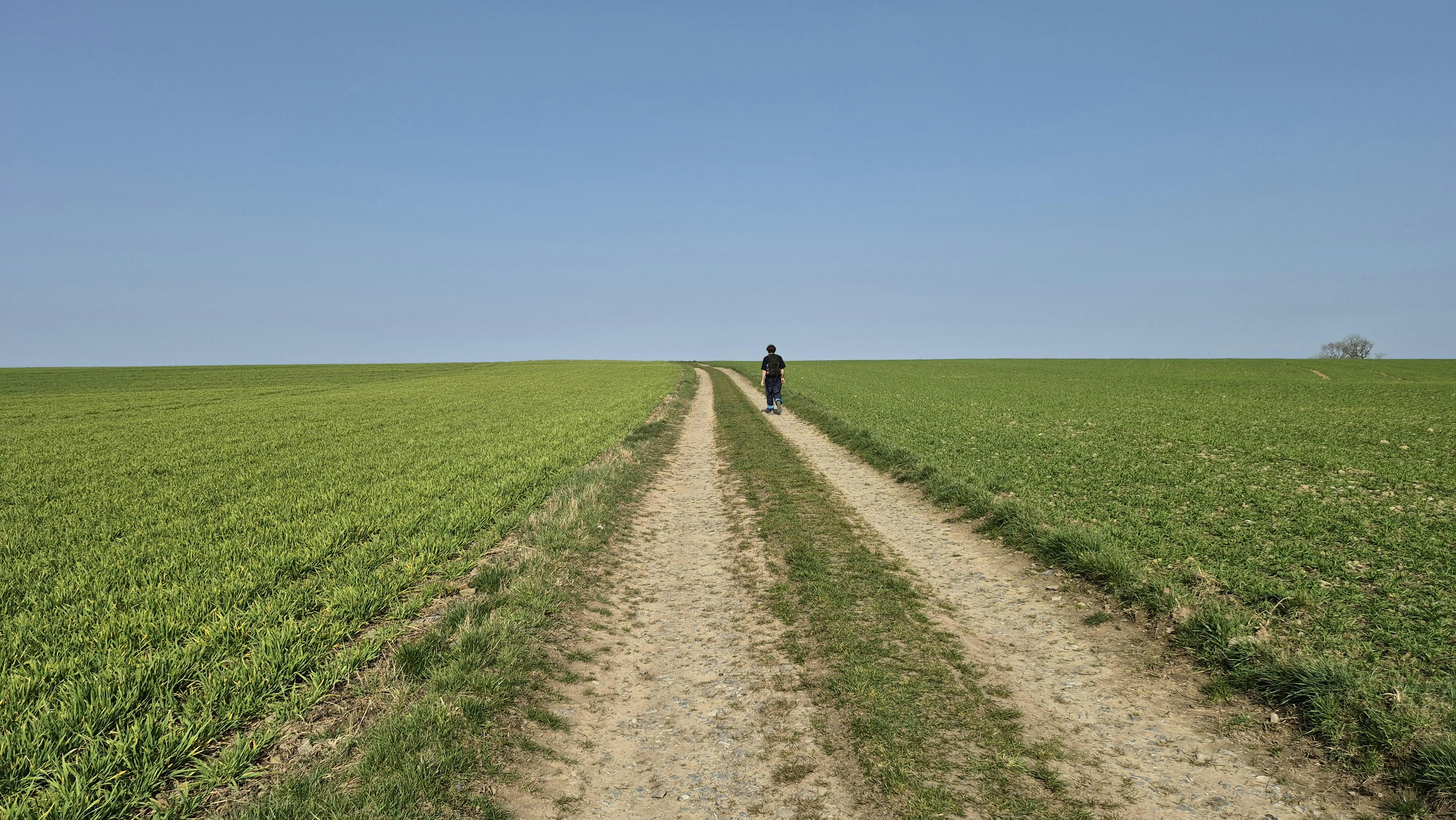Δωρεάν Ένα άτομο περπατάει μόνο του σε ένα αγροτικό χωμάτινο μονοπάτι ανάμεσα σε χωράφια κάτω από έναν καταγάλανο ουρανό. Φωτογραφία από στοκ φωτογραφιών
