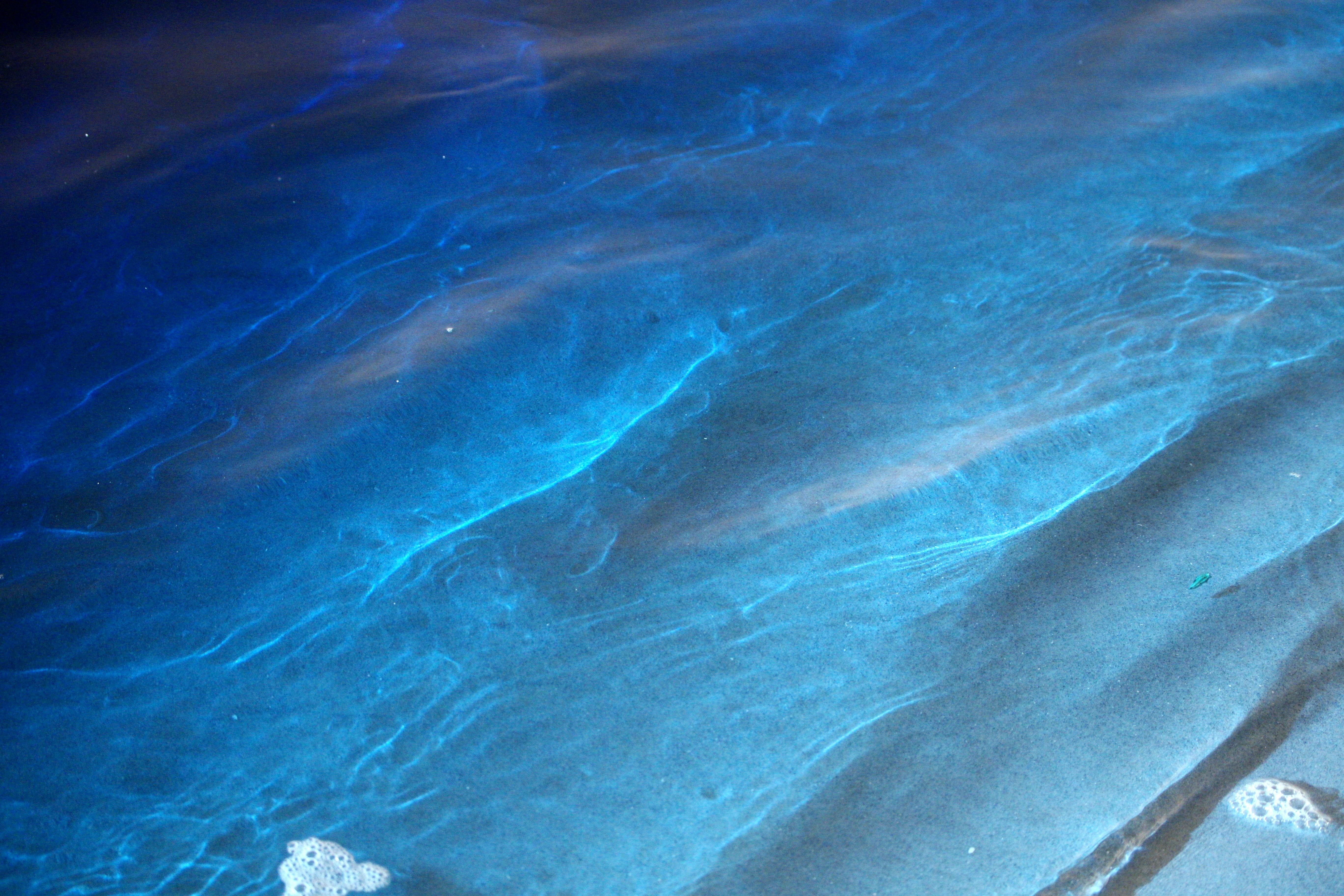 Kostenlos Ein faszinierender Anblick blauer Meereswellen, die nachts in einem magischen Glanz erstrahlen und Ruhe und Geheimnis ausstrahlen. Stock-Foto