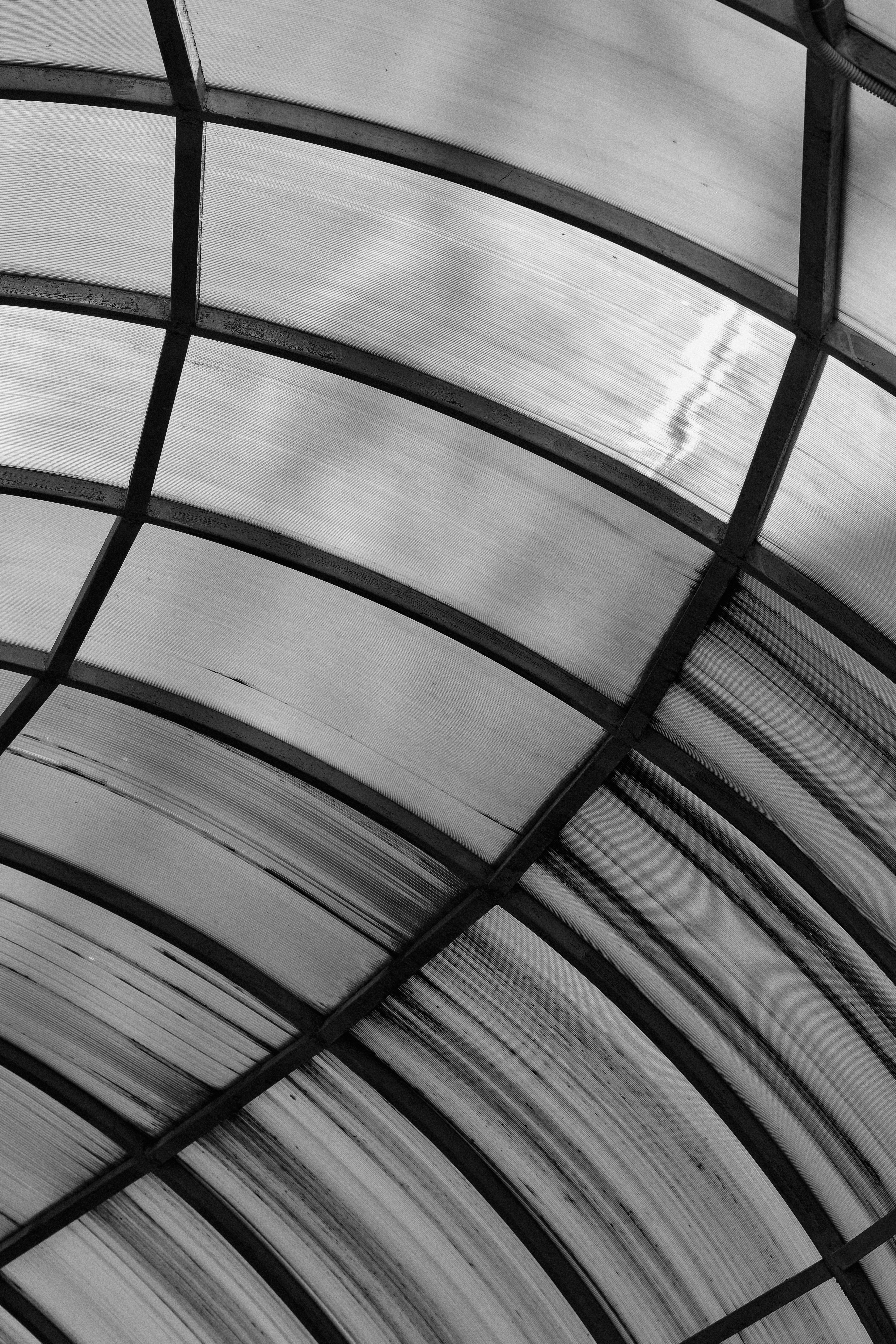 Zadarmo Abstraktný čiernobiely obraz zakriveného skleneného stropu zachytávajúci svetlo a tiene. Fotka z fotobanky