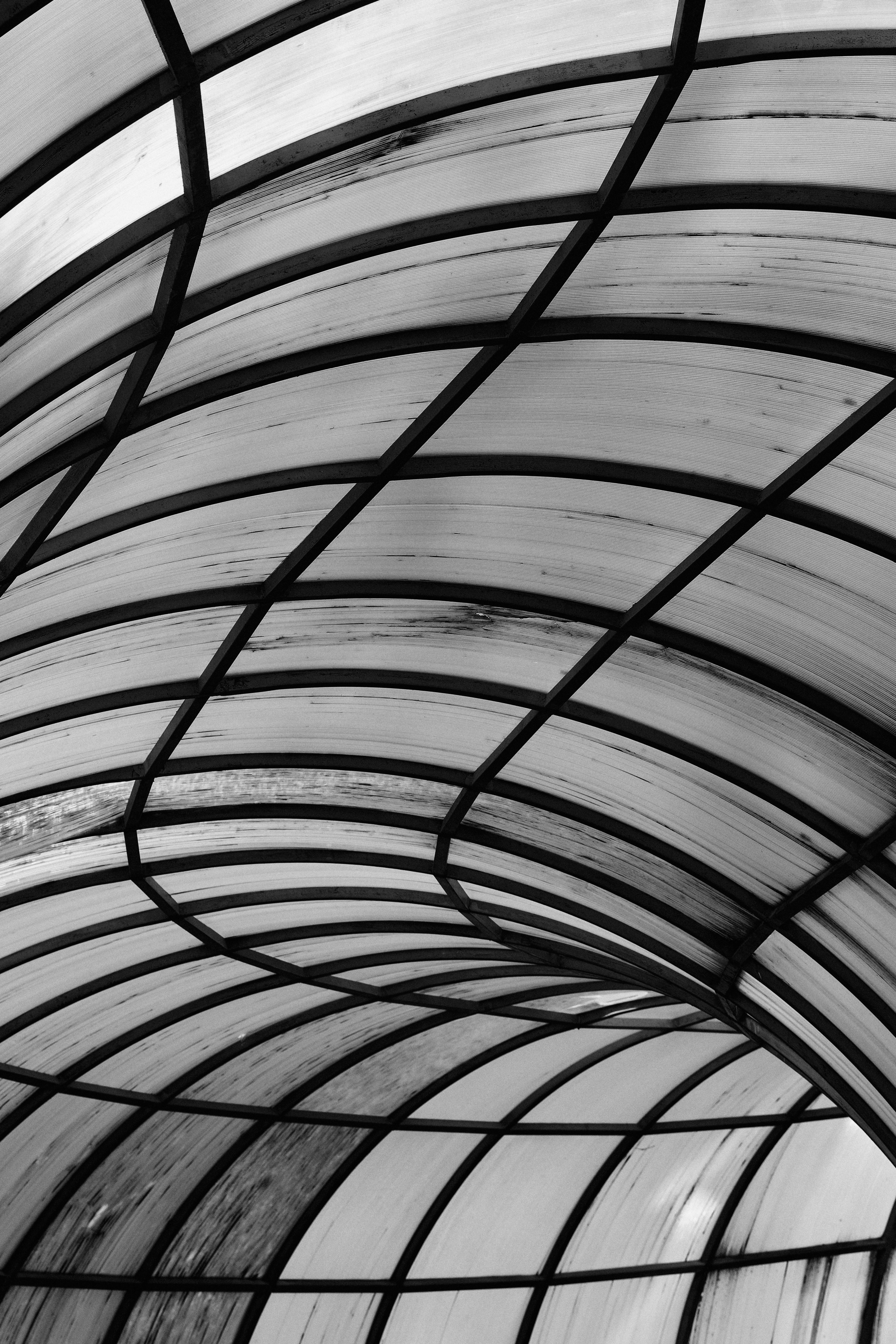 Zadarmo Abstraktná čiernobiela fotografia zakriveného skleneného stropu s dynamickými líniami. Fotka z fotobanky