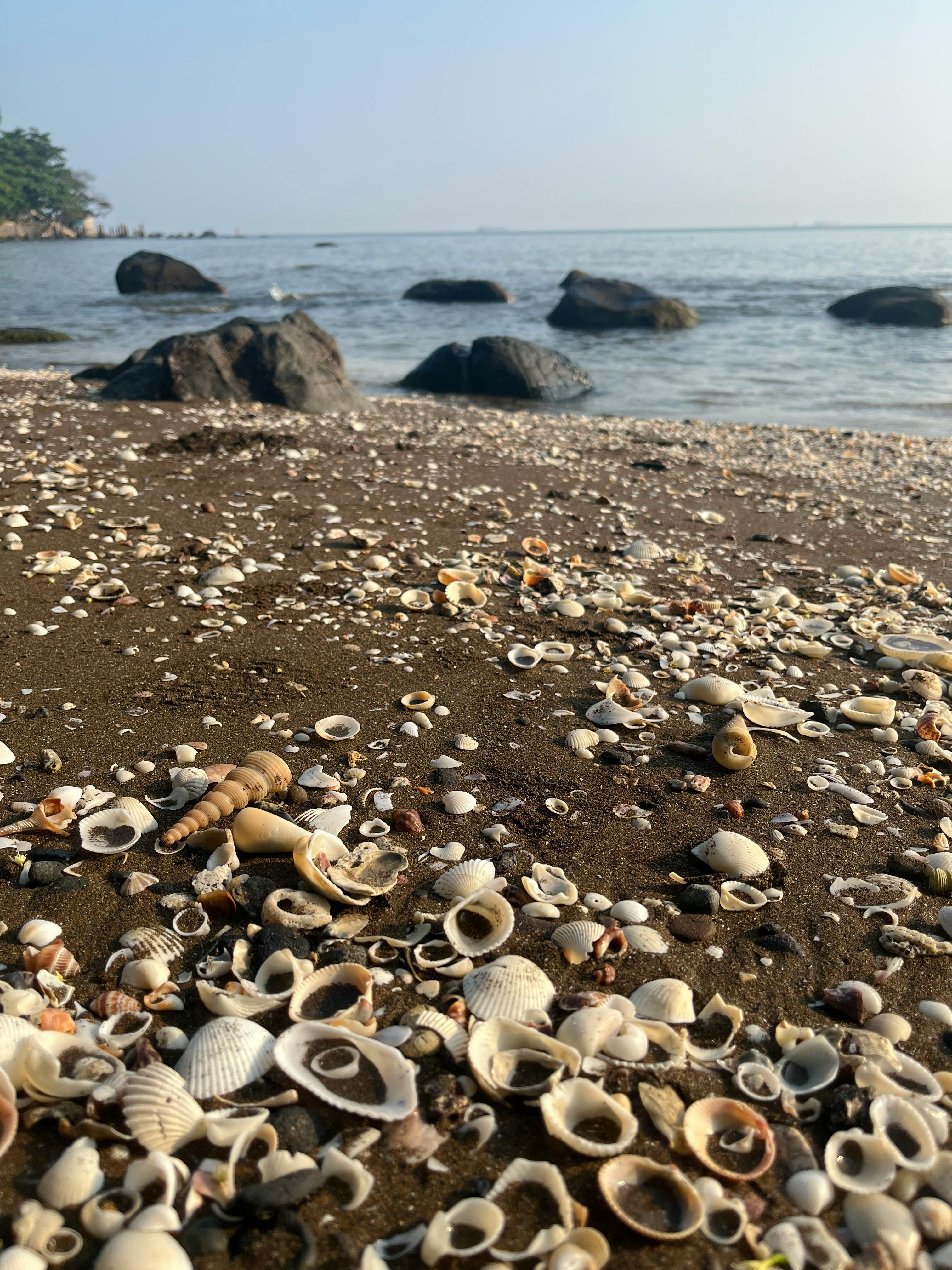 Δωρεάν Μια γαλήνια παραλία με κοχύλια και βράχους, που αποτυπώνει την γαλήνια ομορφιά της φύσης κατά την ανατολή του ηλίου. Φωτογραφία από στοκ φωτογραφιών