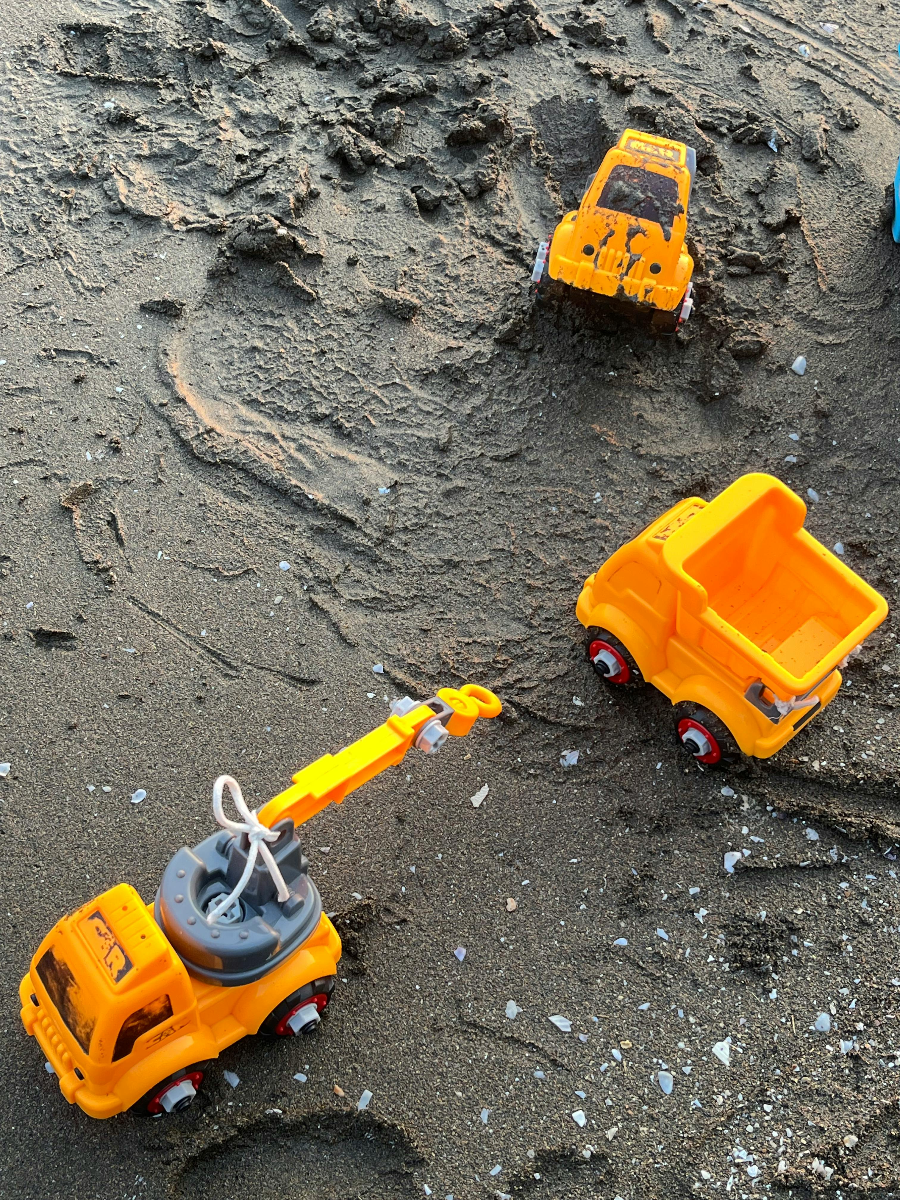 Gratis Farverige legetøjsbyggelastbiler sidder i et sandstrandområde, perfekt til leg og kreativitet. Lagerfoto