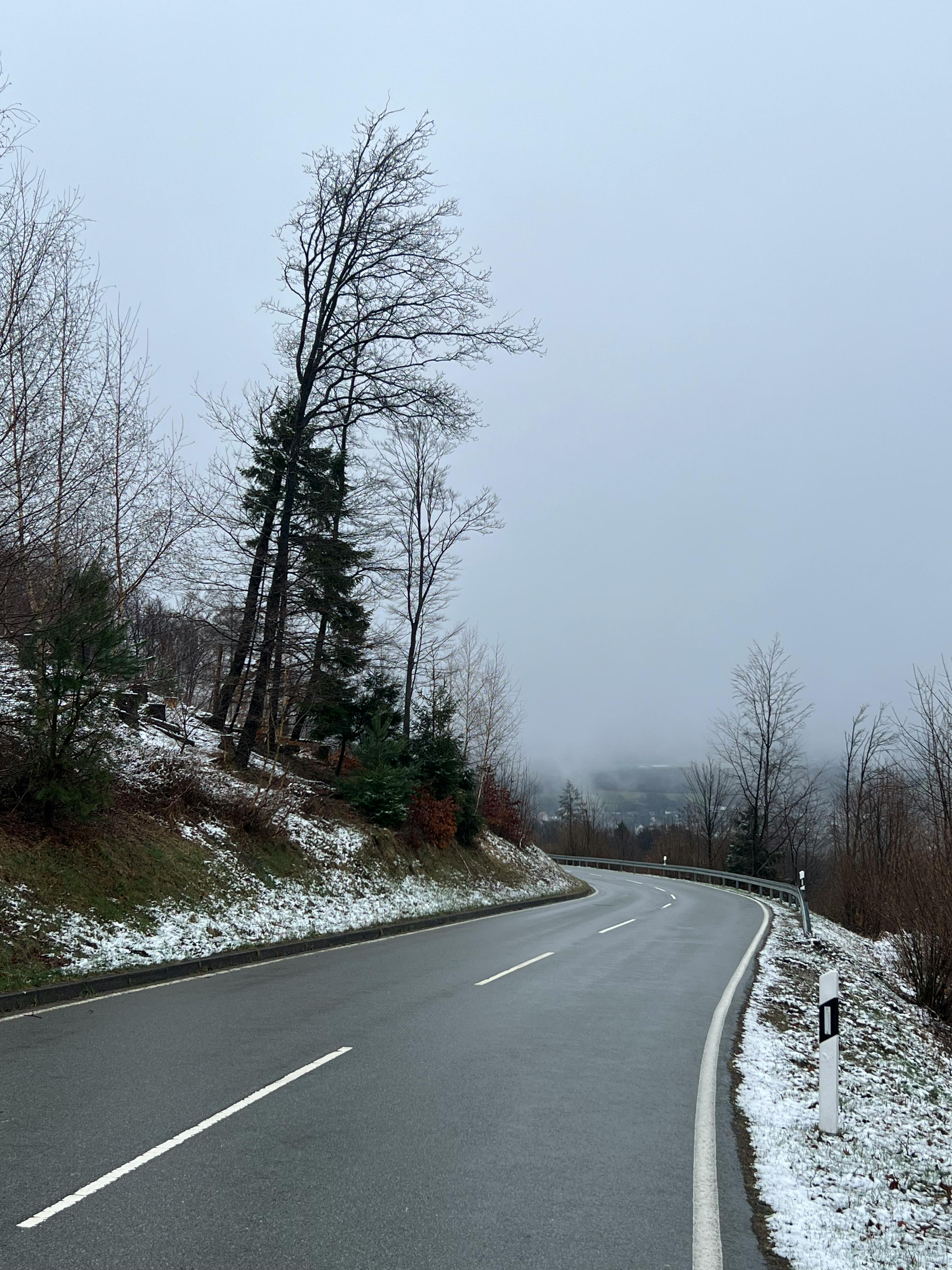 Gratis En fredfyldt vintervej snor sig gennem det tyske landskab, omkranset af snedækkede træer på en tåget dag. Lagerfoto