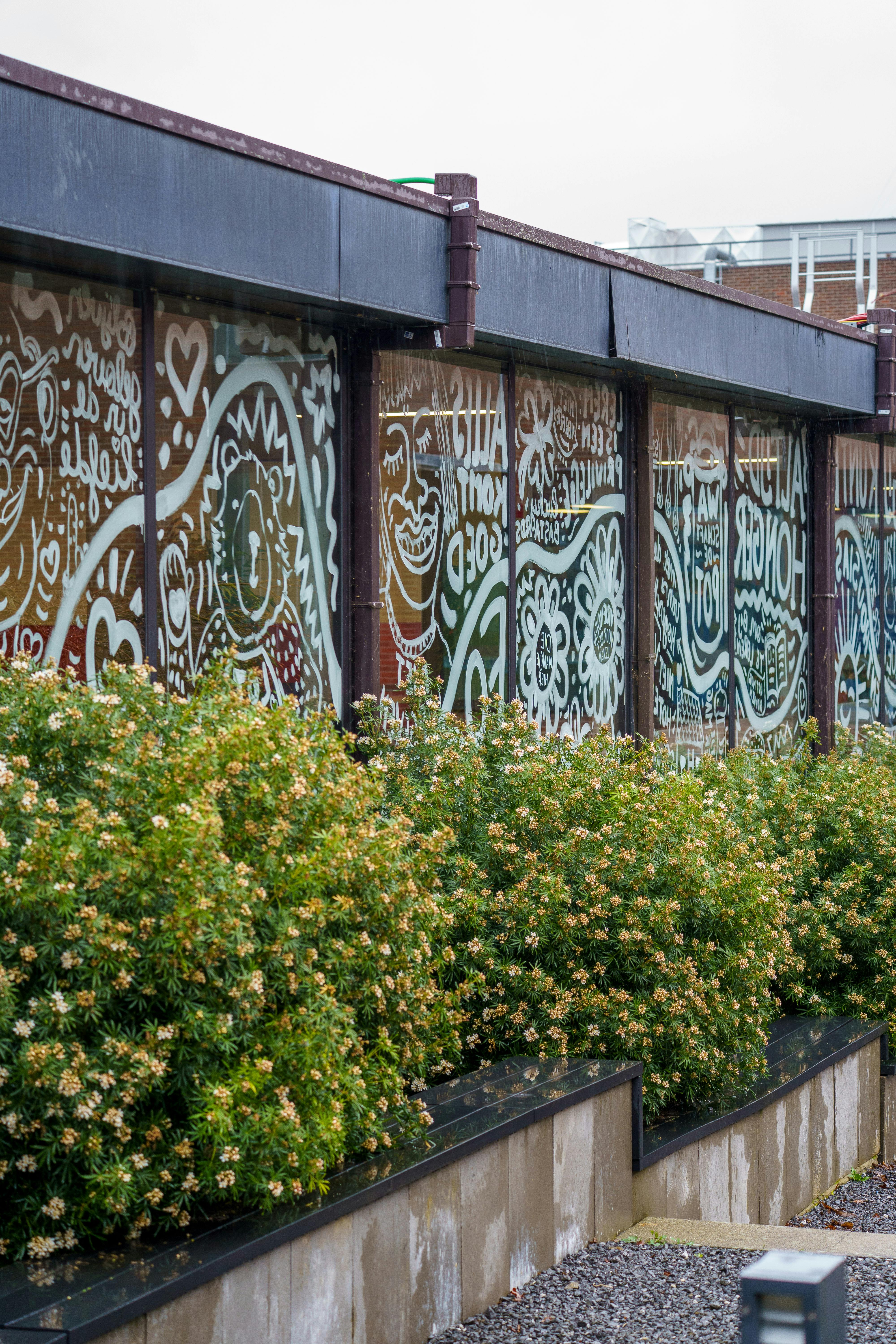 Ücretsiz açık hava, açık sanat, artistik içeren Ücretsiz stok fotoğraf Stok Fotoğraflar