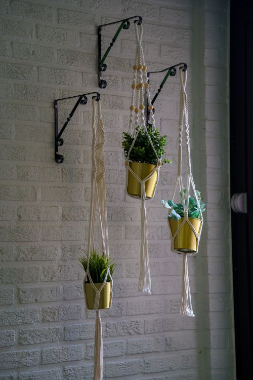 Free Stylish macramé plant hangers with potted plants on a brick wall, perfect for indoor decor. Stock Photo