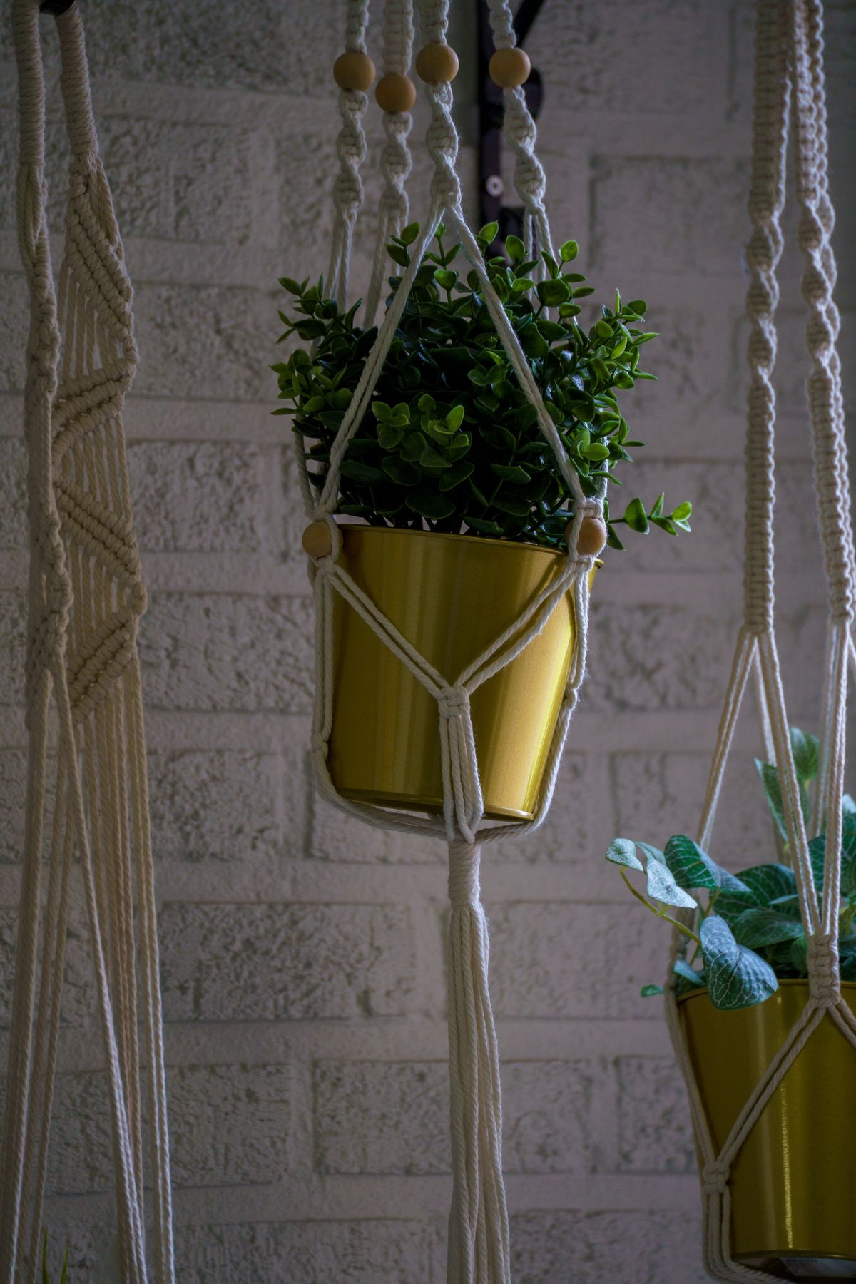 Stylish macramé plant hangers with green foliage against a white brick background indoors.