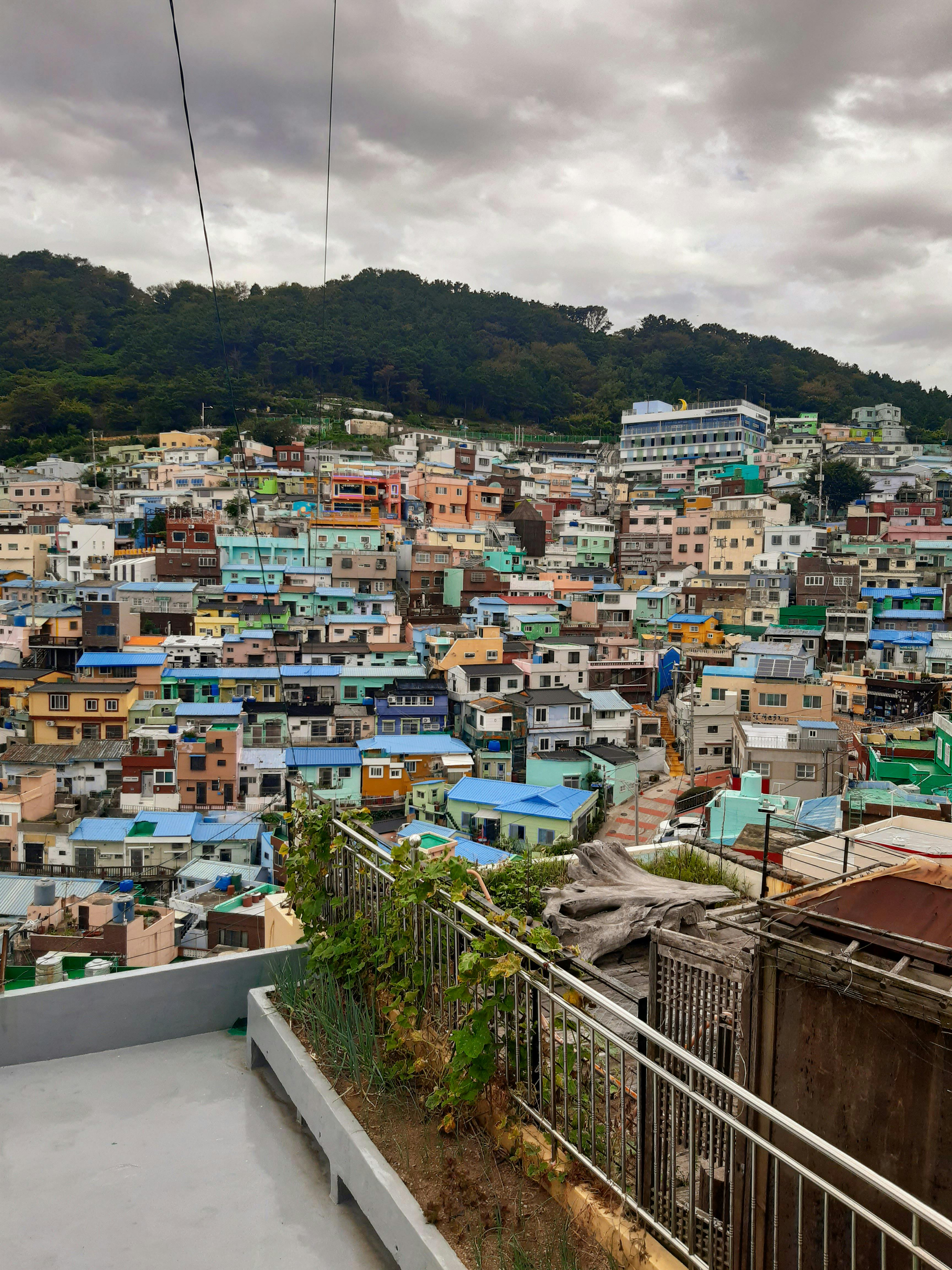 無料 釜山にある色彩豊かな甘川文化村の素晴らしい眺め。活気に満ちた景観と独特な建築様式が捉えられている。 写真素材