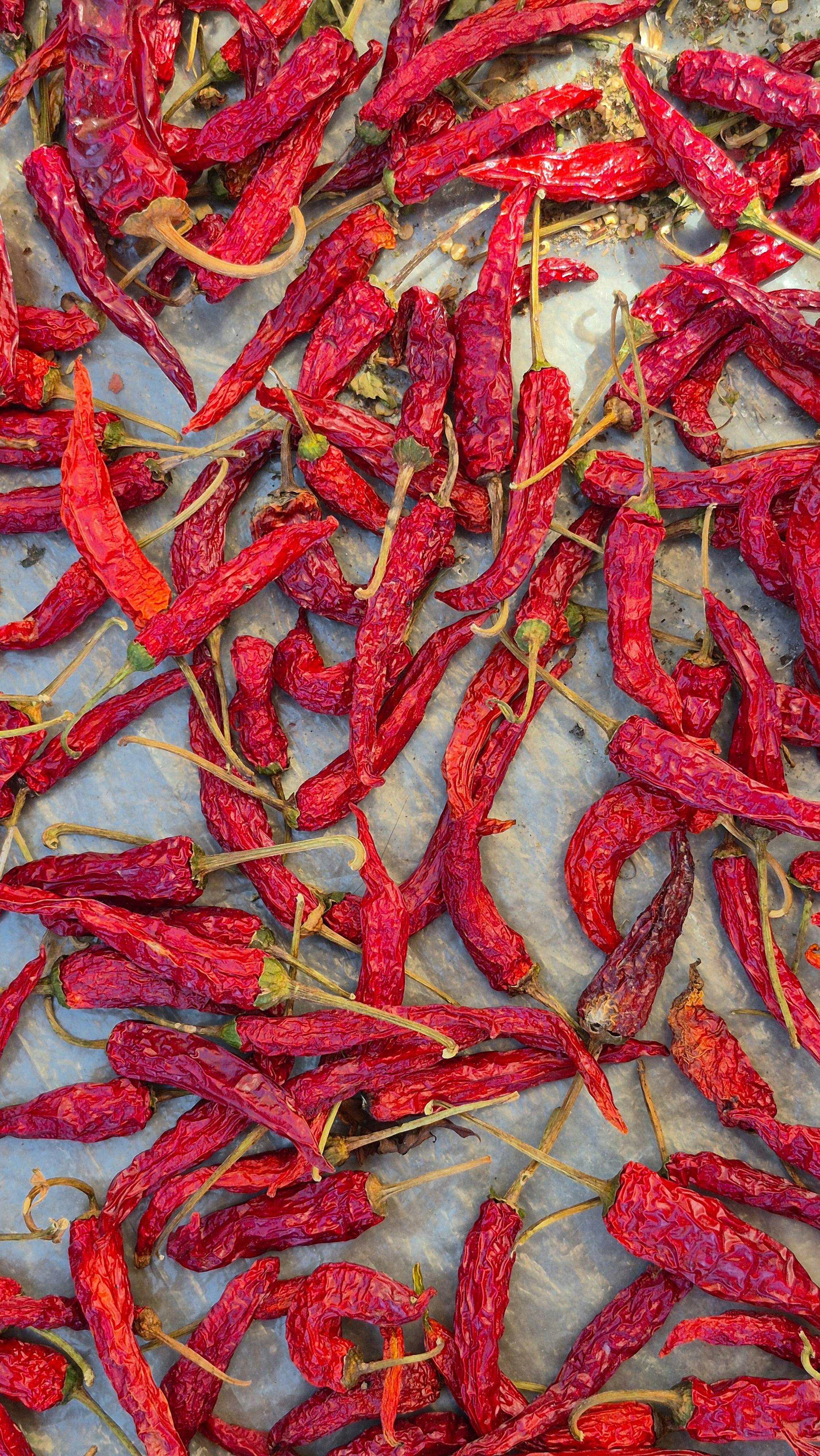 無料 鮮やかな赤色の唐辛子が日光の下で乾燥される様子は、伝統的な中国の香辛料調理のエッセンスを捉えている。 写真素材