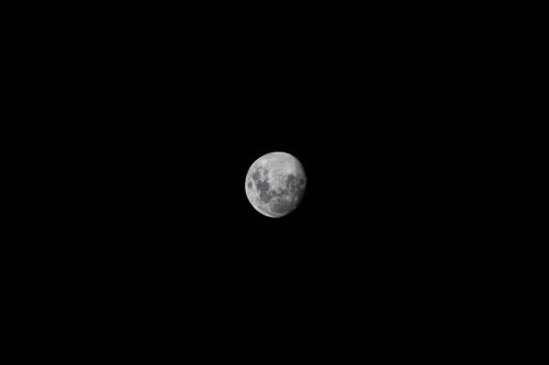 Free Detailed image of the full moon against a pitch-black sky. Stock Photo