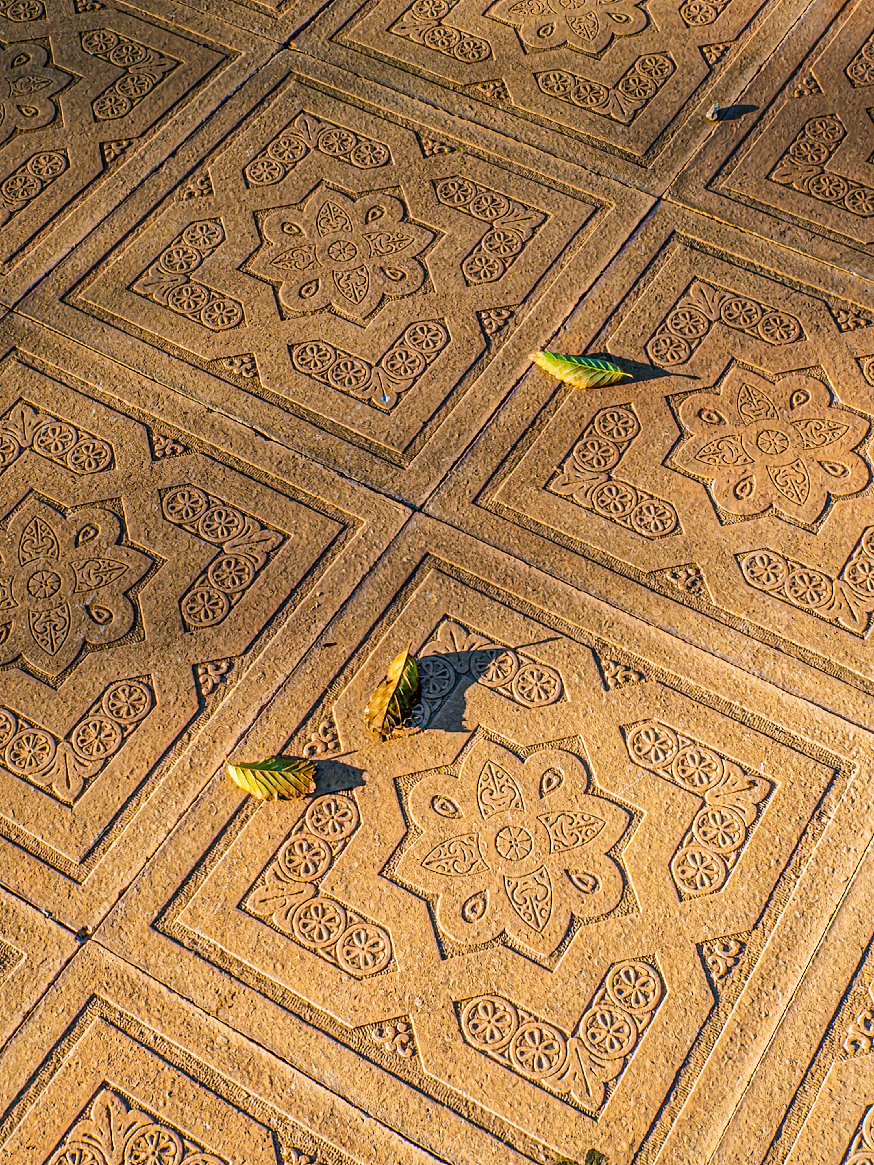 Zadarmo Detailný dizajn dlažobných kock s tieňmi listov v teplom svetle západu slnka. Fotka z fotobanky