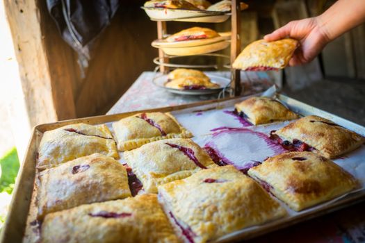 Fruit Turnover