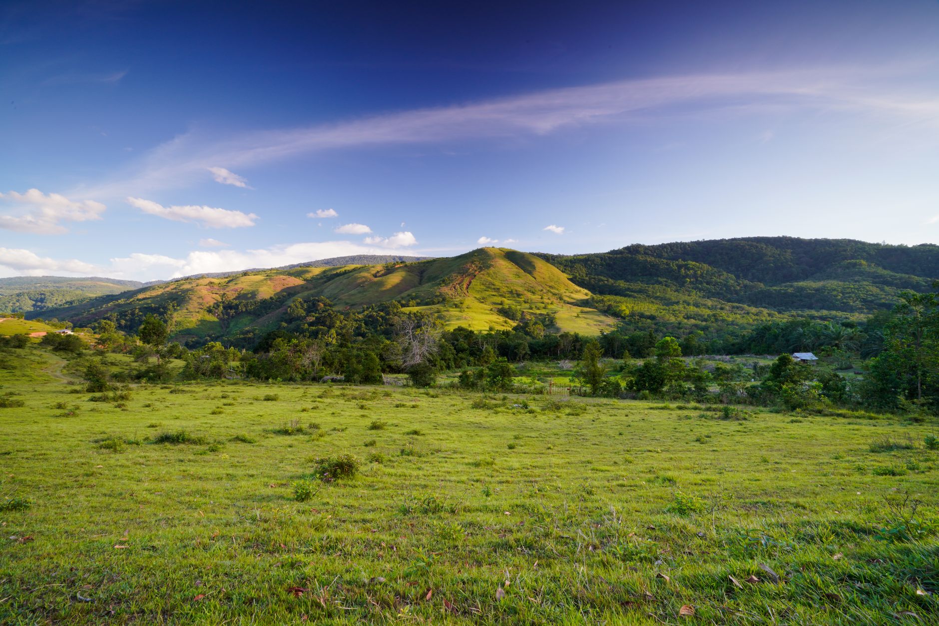 Beautiful landscape of rolling green hills under a clear blue sky in North Sumatra, Indonesia.