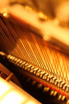 Detailed close-up of piano strings and tuning pins in warm lighting.