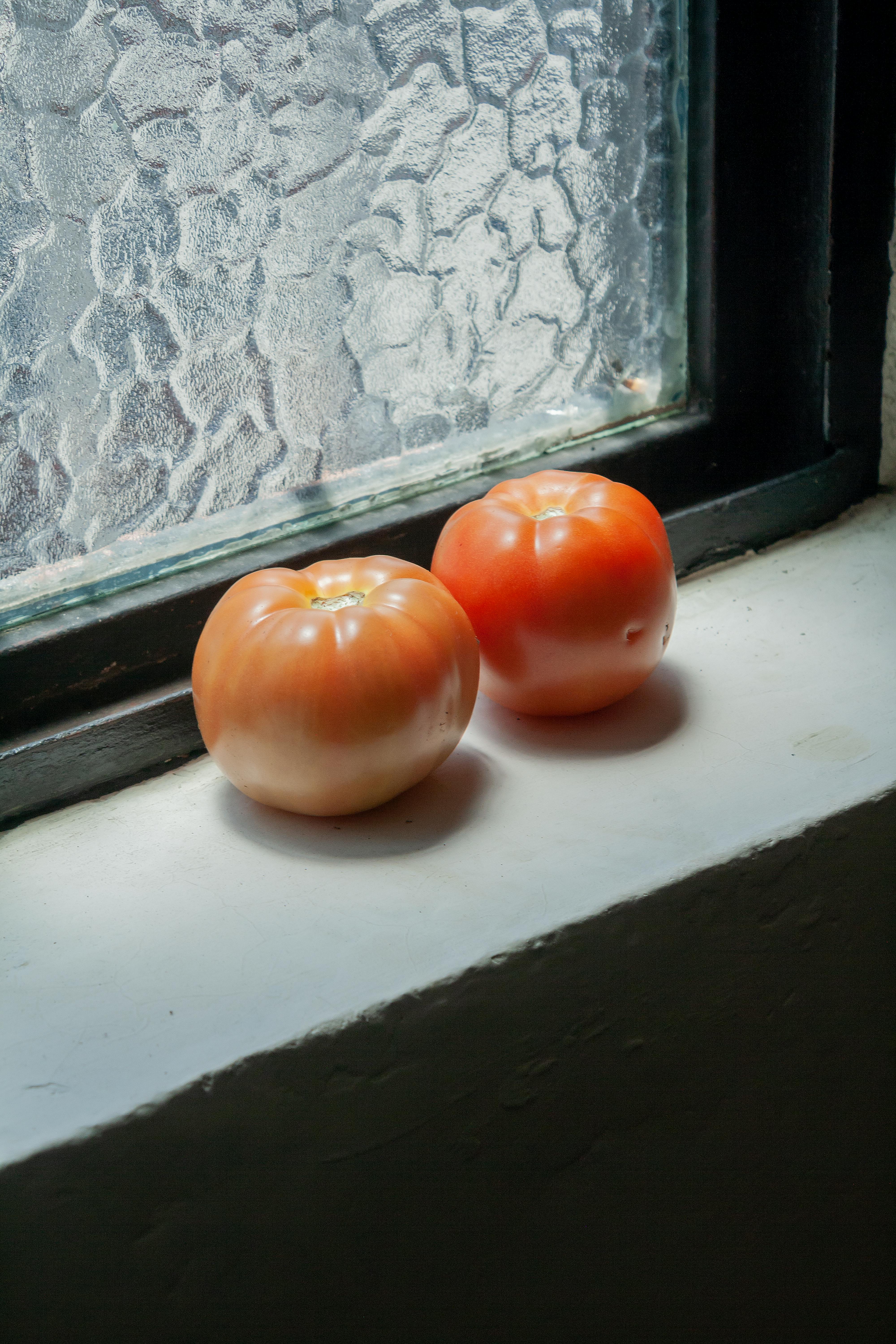 Miễn phí Hai quả cà chua chín mọng trên bệ cửa sổ, ánh sáng tự nhiên tạo nên những bóng đổ, rất phù hợp với chủ đề thực phẩm hữu cơ. Ảnh lưu trữ