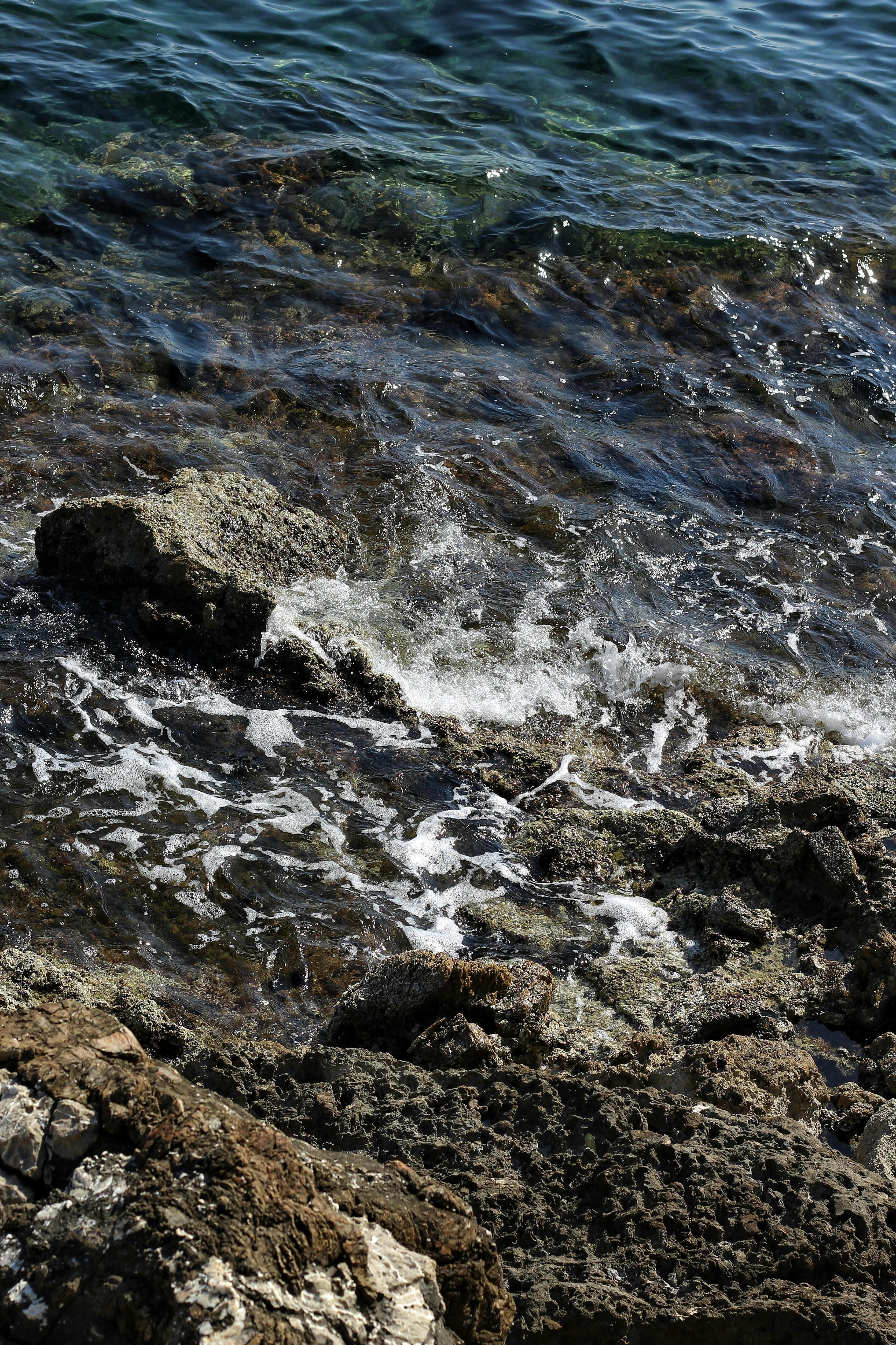 無料 アーストーン, サーフィン, シースケープの無料の写真素材 写真素材