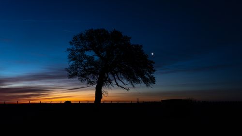Free A lone tree silhouette against a vibrant twilight sky with a crescent moon. Stock Photo