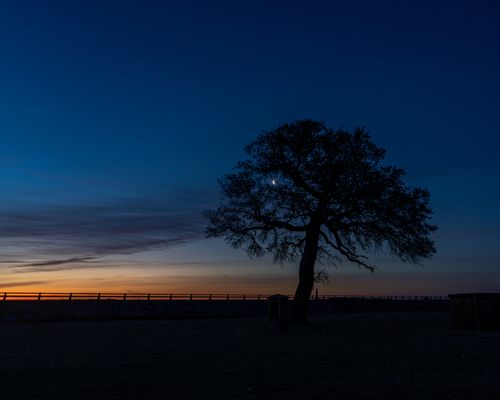 Free A serene twilight scene with a tree silhouette against a gradient sky and crescent moon visible. Stock Photo
